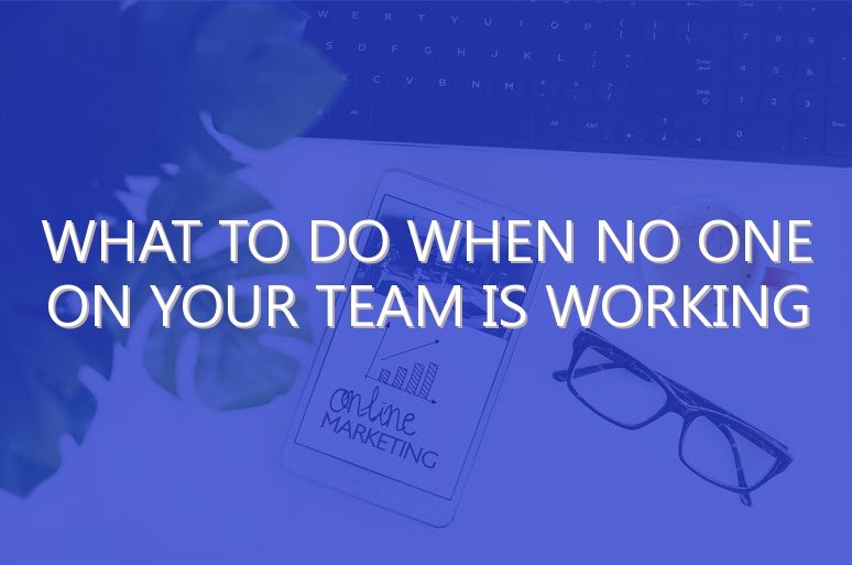 What to Do When No One on Your Team is Working